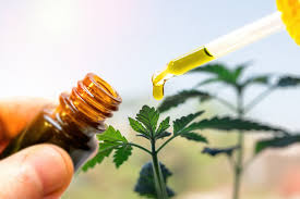 Best CBD Oil For Memory And Focus